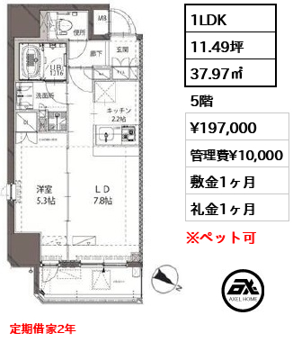 間取り8 1LDK 37.97㎡  賃料¥197,000 管理費¥10,000 敷金1ヶ月 礼金1ヶ月 定期借家2年