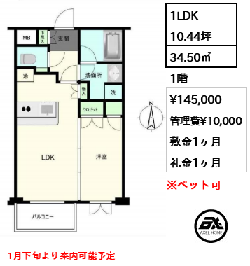 間取り8 1LDK 34.50㎡  賃料¥145,000 管理費¥10,000 敷金1ヶ月 礼金1ヶ月 1月下旬より案内可能予定