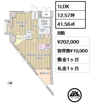 間取り8 1LDK 41.56㎡  賃料¥202,000 管理費¥10,000 敷金1ヶ月 礼金1ヶ月