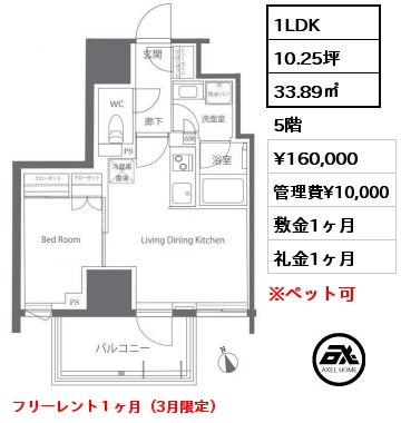 間取り8 1LDK 33.89㎡ 5階 賃料¥160,000 管理費¥10,000 敷金1ヶ月 礼金1ヶ月 フリーレント１ヶ月（3月限定）