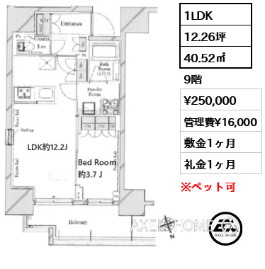 1LDK 40.52㎡  賃料¥250,000 管理費¥16,000 敷金1ヶ月 礼金1ヶ月