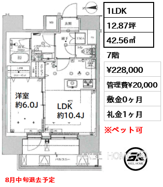 1LDK 42.56㎡  賃料¥228,000 管理費¥20,000 敷金0ヶ月 礼金1ヶ月 8月中旬退去予定