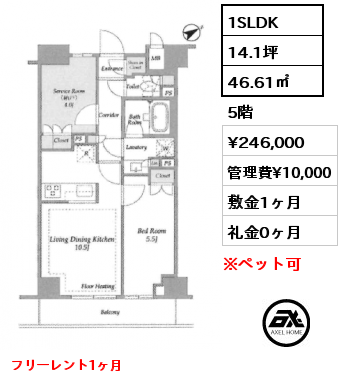 1SLDK 46.61㎡ 5階 賃料¥241,000 管理費¥10,000 敷金1ヶ月 礼金0ヶ月 10月上旬入居予定　フリーレント1ヶ月