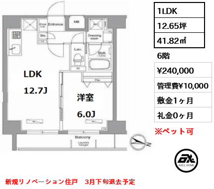 間取り8 1LDK 41.82㎡  賃料¥240,000 管理費¥10,000 敷金1ヶ月 礼金0ヶ月 新規リノベーション住戸　3月下旬退去予定