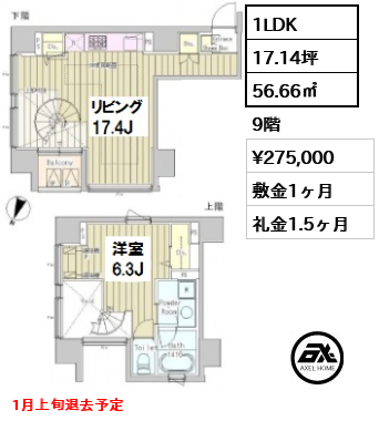 間取り8 1LDK 56.66㎡  賃料¥275,000 敷金1ヶ月 礼金1.5ヶ月 1月上旬退去予定