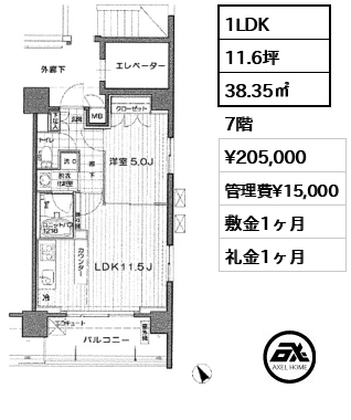 間取り8 1LDK 38.35㎡  賃料¥205,000 管理費¥15,000 敷金1ヶ月 礼金1ヶ月