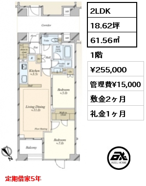 2LDK 61.56㎡ 1階 賃料¥255,000 管理費¥15,000 敷金2ヶ月 礼金1ヶ月 定期借家5年