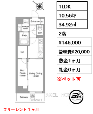 1LDK 34.92㎡  賃料¥146,000 管理費¥20,000 敷金1ヶ月 礼金0ヶ月 フリーレント１ヶ月