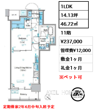 1LDK 46.72㎡  賃料¥237,000 管理費¥12,000 敷金1ヶ月 礼金1ヶ月 定期借家2年6月中旬入居予定
