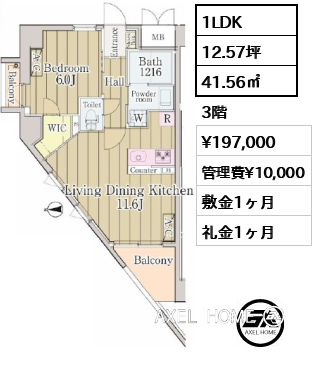 間取り9 1LDK 41.56㎡  賃料¥197,000 管理費¥10,000 敷金1ヶ月 礼金1ヶ月 　　