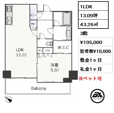 間取り9 1LDK 43.26㎡ 3階 賃料¥195,000 管理費¥10,000 敷金1ヶ月 礼金1ヶ月 　　