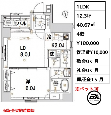 間取り9 1LDK 40.67㎡ 4階 賃料¥180,000 管理費¥10,000 敷金0ヶ月 礼金0ヶ月 保証金契約時償却
