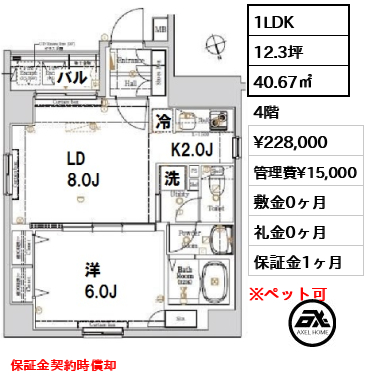 間取り9 1LDK 40.67㎡  賃料¥228,000 管理費¥15,000 敷金0ヶ月 礼金0ヶ月 保証金契約時償却