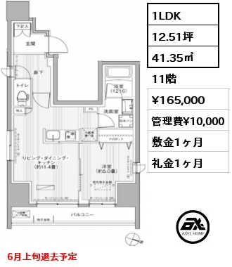 間取り9 1LDK 41.35㎡ 11階 賃料¥165,000 管理費¥10,000 敷金1ヶ月 礼金1ヶ月 6月上旬退去予定