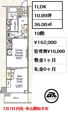 間取り9 1LDK 36.00㎡ 10階 賃料¥162,000 管理費¥10,000 敷金1ヶ月 礼金0ヶ月 2月1日内見･申込開始予定