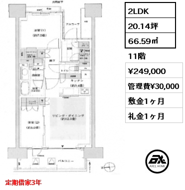 2LDK 66.59㎡ 11階 賃料¥249,000 管理費¥30,000 敷金1ヶ月 礼金1ヶ月 定期借家3年