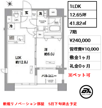 間取り9 1LDK 41.82㎡  賃料¥240,000 管理費¥10,000 敷金1ヶ月 礼金0ヶ月 新規リノベーション部屋　5月下旬退去予定
