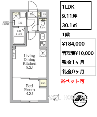 1LDK 30.1㎡  賃料¥184,000 管理費¥10,000 敷金1ヶ月 礼金0ヶ月