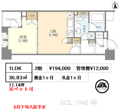 間取り9 1LDK 36.83㎡  賃料¥194,000 管理費¥12,000 敷金1ヶ月 礼金1ヶ月 6月下旬入居予定