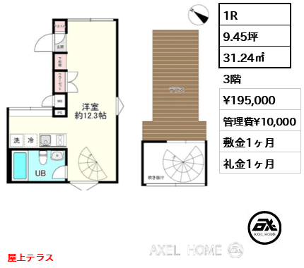 間取り9 1R 31.24㎡  賃料¥195,000 管理費¥10,000 敷金1ヶ月 礼金1ヶ月 屋上テラス　
