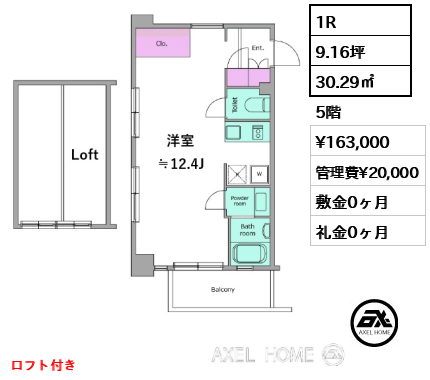 間取り9 1R 30.29㎡  賃料¥163,000 管理費¥20,000 敷金0ヶ月 礼金0ヶ月 ロフト付き
