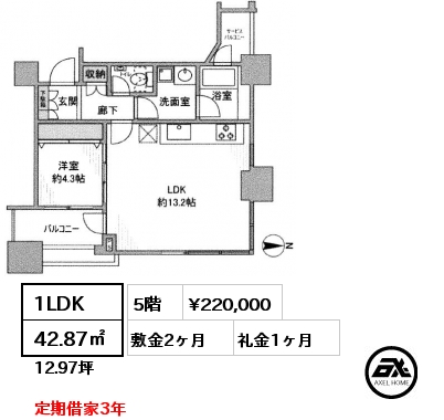 間取り9 1LDK 42.87㎡ 5階 賃料¥220,000 敷金2ヶ月 礼金1ヶ月 定期借家3年　 　　　