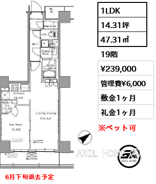 1LDK 47.31㎡  賃料¥239,000 管理費¥6,000 敷金1ヶ月 礼金1ヶ月 6月下旬退去予定