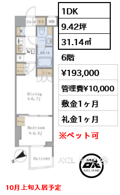 1DK 31.14㎡  賃料¥193,000 管理費¥10,000 敷金1ヶ月 礼金1ヶ月 10月上旬入居予定