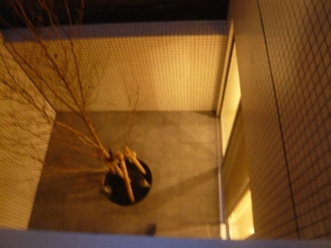 ＭＯＮＴＥ　ＰＩＮＯ　ＤＵＯ　（モンテピーノ・デュオ）