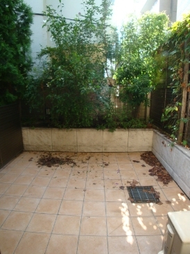 アヴァンセ原宿