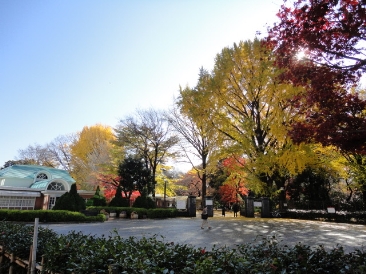 フォーチュンコート新宿御苑前