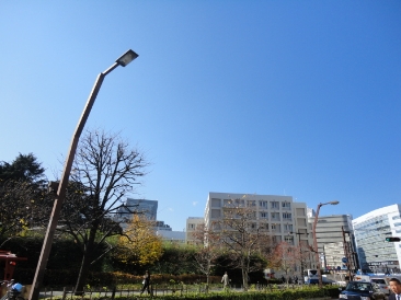 フォーチュンコート新宿御苑前