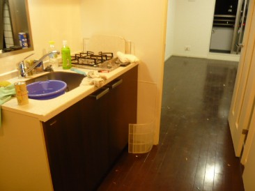 エステムプラザ新宿Ｐｒｅｍｉｕｍ−Ｅｘ