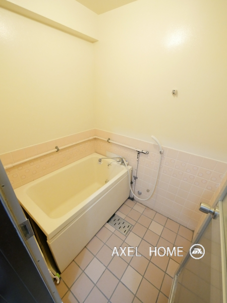 セイショウ・ヴィレッジ