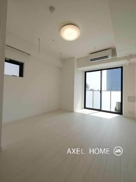 アジールコート新宿の玄関側から室内左