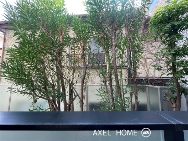 ウェリス四ツ谷　