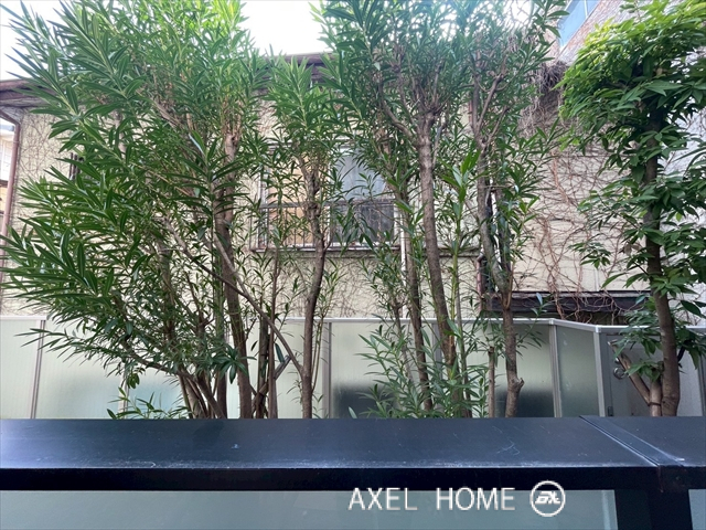 ウェリス四ツ谷　