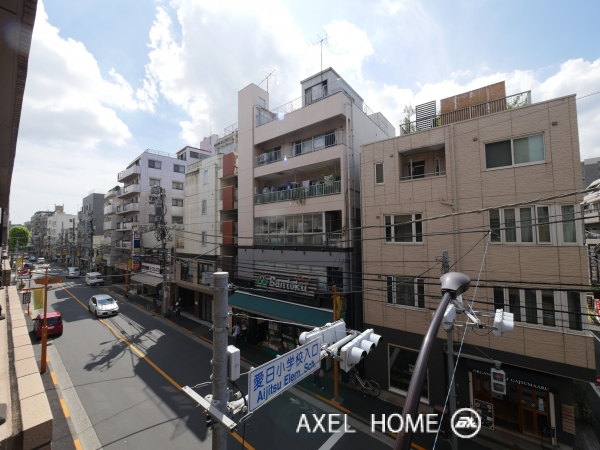 Kelii（ケリー）