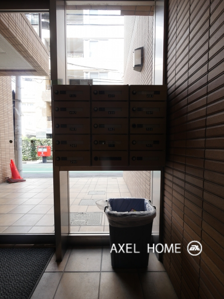 Kelii（ケリー）