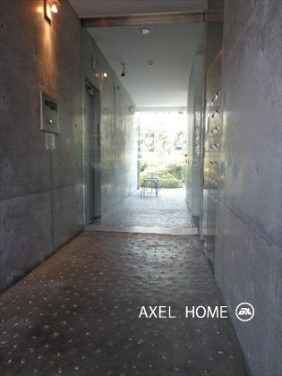 Ｇｒａｔｉｃｃｉｏ　（グラティッシオ）