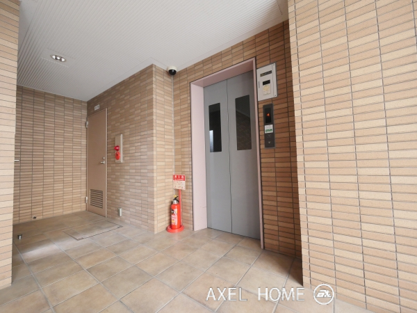 Kelii（ケリー）