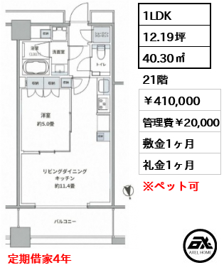 ワールドタワーレジデンス（WORLD TOWER RESIDENCE）【新築】 410,000円
