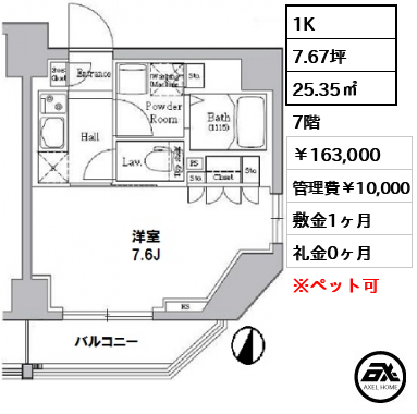 カーサスプレンディッド麹町 163,000円