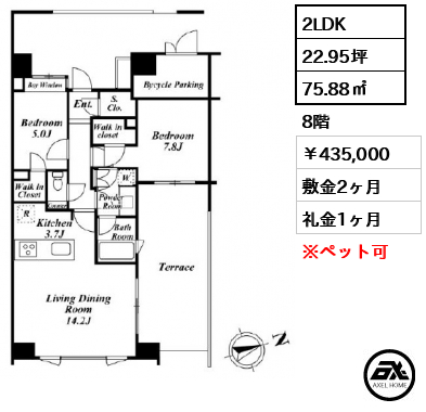 MEW （ミュー） 435,000円