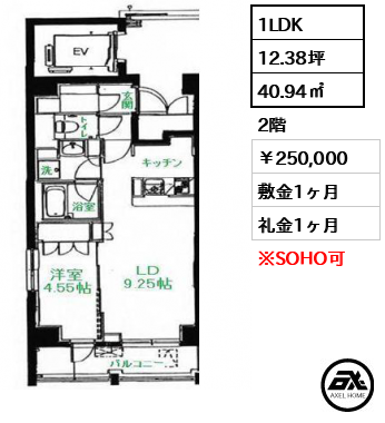 プレミアム銀座イースト　 250,000円