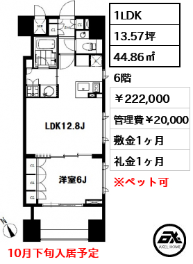 チェスターコート御茶ノ水 22.2万円