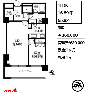 パークコート神宮前 (The Air / The Forest) 36万円