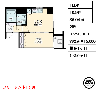CATS原宿  (キャッツ原宿) 250,000円