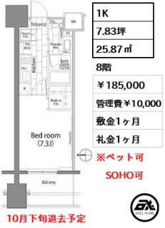 パークハビオ平河町