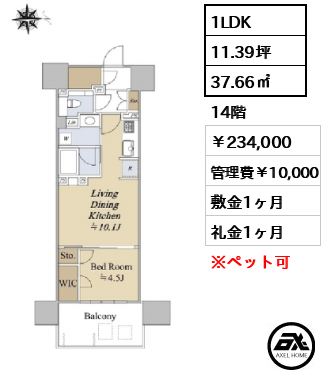グランドシティタワー月島 234,000円